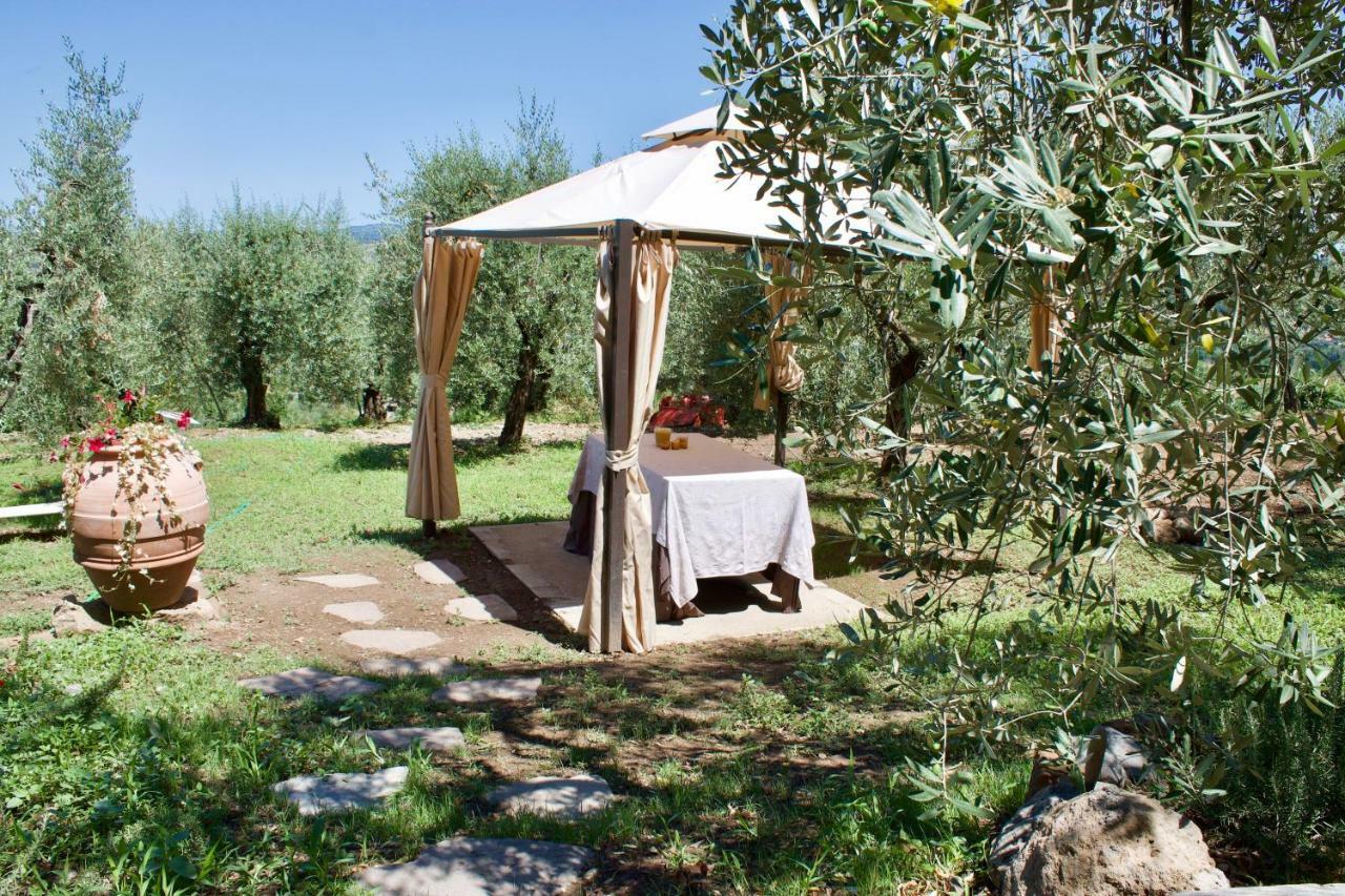 Agriturismo Podere Pescara Ορβιέτο Εξωτερικό φωτογραφία